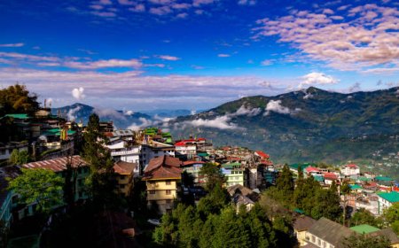 Darjeeling Tour Packages Under 10000: Trekking & Tea Estates