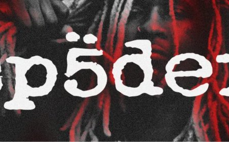 Can the Iconic Spider Hoodie Truly Reflect Your Fashion Vibe