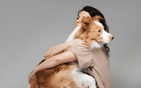 How Group Dog Classes Strengthened My Bond with My Pet