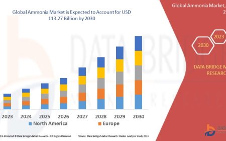 Ammonia Market Size, Share, Trends, Demand, Growth and Competitive Outlook