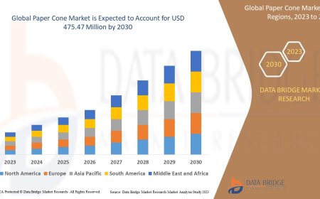 Paper Cone Market Size, Share, Trends, Demand, Growth and Competitive Analysis