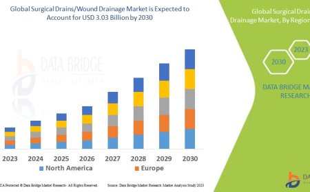Surgical Drains/Wound Drainage Market Growth Forecast with Competitive Analysis 2030