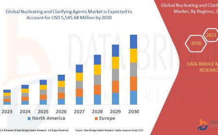 Nucleating and Clarifying Agents Market Growth Forecast with Competitive Analysis 2030