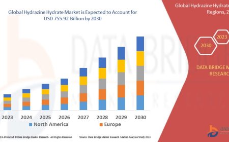 Hydrazine Hydrate Market Growth Forecast with Competitive Analysis 2030