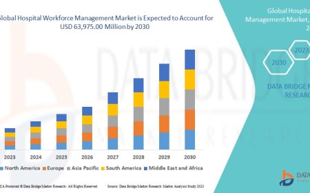 Hospital Workforce Management Market Growth Forecast with Competitive Analysis 2030