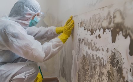 What is a Moisture Meter for Mold and How Does It Help Detect Hidden Dampness?