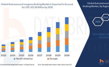 Autonomous Emergency Braking Market Overview: Key Drivers and Challenges