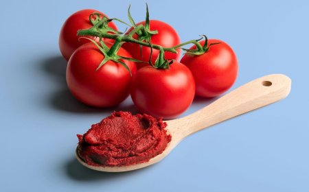 Tomato Paste Manufacturing Plant Project Report 2025 | Utility Requirements and Cost Involved