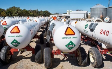 Anhydrous Ammonia Manufacturing Plant Project Report 2025: Industry Trends and Investment Opportunities