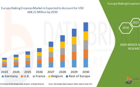 Europe Baking Enzymes Market Grows with Rising Clean Label and Functional Bakery Trends