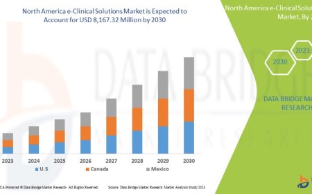 North America E-Clinical Solutions Market Size, Share, Trends, Demand, Growth and Competitive Outlook