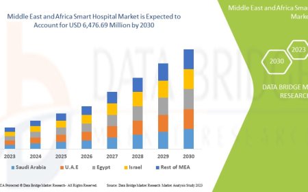 Middle East and Africa Smart Hospital Market Booms with Government Investments in Healthcare Tech