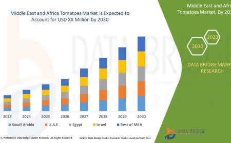 Middle East and Africa Tomatoes Market Grows with Rising Food Processing and Export Trends
