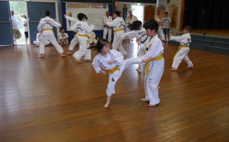 Taekwondo Lessons for All Ages at Rhee Tae Kwon Do Mortdale