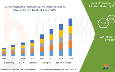 Europe Phytogenic Feed Additives Market Companies: Growth, Share, Value, Size, and Insights
