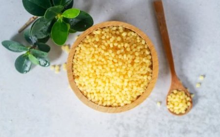Latin America Candelilla Wax Market Revenue Analysis: Growth, Share, Value, Size, and Insights