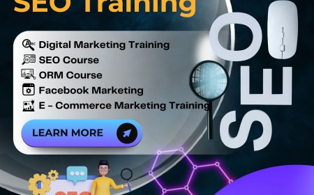 Free SEO Training to Boost Your Online Visibility Fast