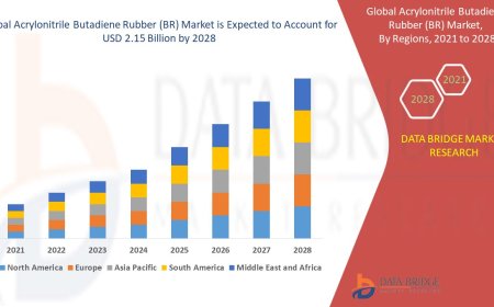 Acrylonitrile Butadiene Rubber (BR) Market Competitive Forecast and Growth Analysis 2028