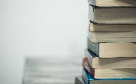 How Livros in Books is Redefining Multilingual Reading for All Ages