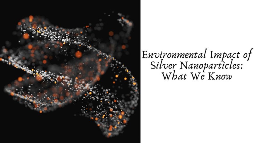 Environmental Impact of Silver Nanoparticles: What We Know