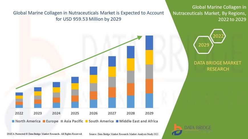 Marine Collagen in Nutraceuticals Market Size, Share, Demand, Rising Trends, Growth and Competitors Analysis
