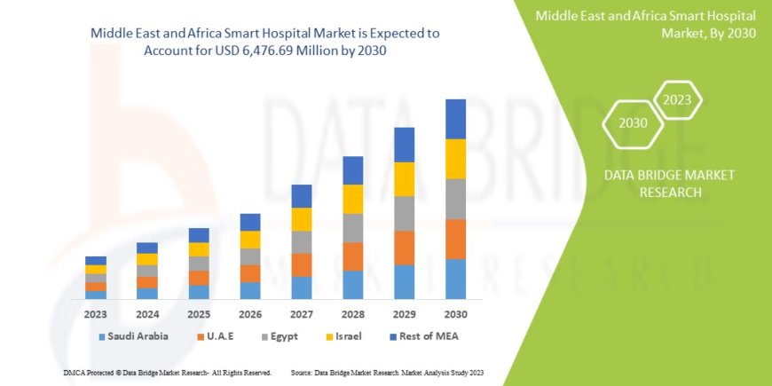 Middle East and Africa Smart Hospital Market Booms with Government Investments in Healthcare Tech