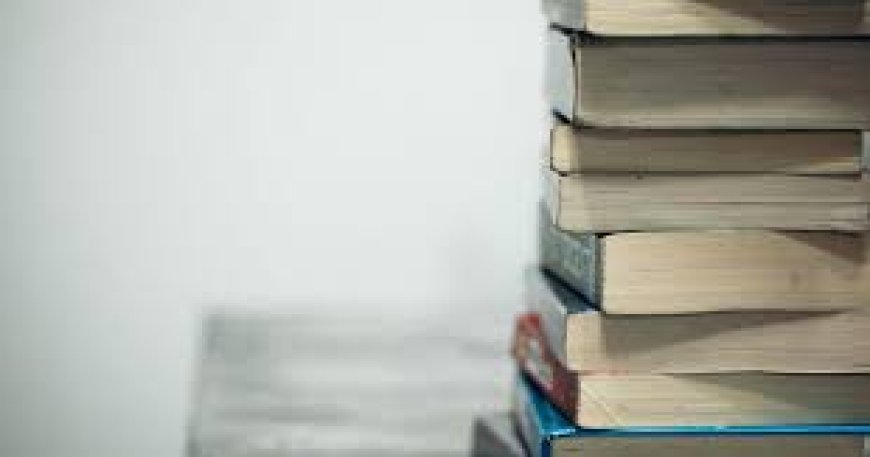 How Livros in Books is Redefining Multilingual Reading for All Ages