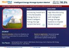 Intelligent Energy Storage System Market Analysis 2024–2030: Size, Share & Future Outlook