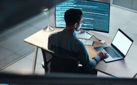 Guide to affordable web design Dubai for schools?