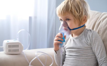 Nebulizers Market Report 2025 | Growth, Trends, and Forecast by 2033