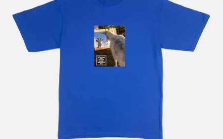 The Movement Behind the Letters What ADWYSD T-Shirt Represents