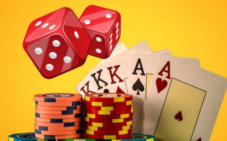 Reddy Anna Book – Redefining Online Sports Betting for Enthusiasts