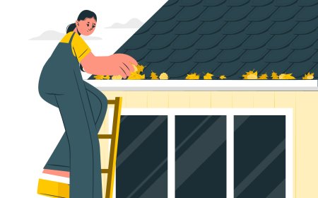 Understanding the Benefits of Spray Foam Insulation and Commercial Roofing Options in Denver