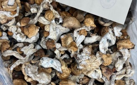 How to properly use magic mushroom