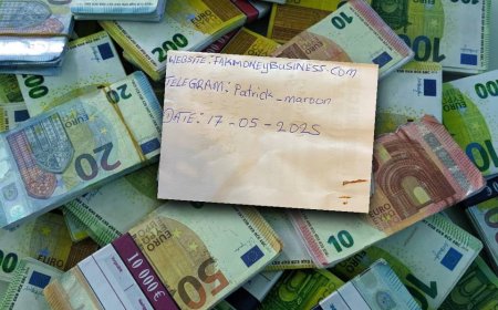 HOW PEOPLE IN GERMANY CAN IDENTIFY FAKE EUROS