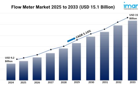 Flow Meter Market Growth, Share, and Trends Report 2025-2033