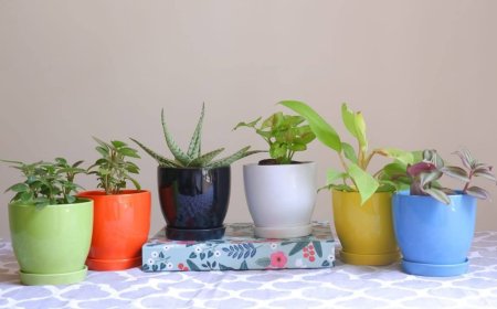 Buy Wholesale Flower Pots at the Best Prices – Explore Top Garden Picks Today