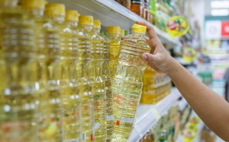 The Ultimate Guide to Canola Oil Fryer Oil