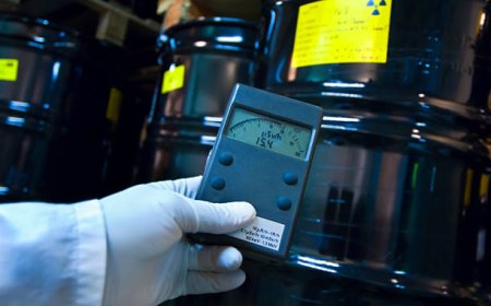 Radiation Dose Management Future Business Opportunities 2025-2030 | Bayer AG, Bracco S.p.A., Koninklijke Philips N.V., GE HealthCare,