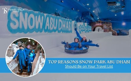 Top Reasons Snow Park Abu Dhabi Should Be on Your Travel List