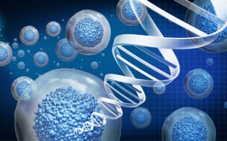 Cell & Gene Therapy Drug Delivery Devices Market Research 2025–2030: Growth, Size & Opportunities