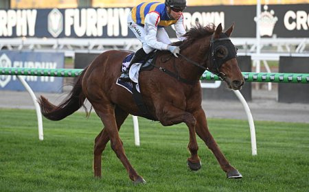 Unlocking Success: How to Pick Top Flemington Racing Tips Winners Like a Pro