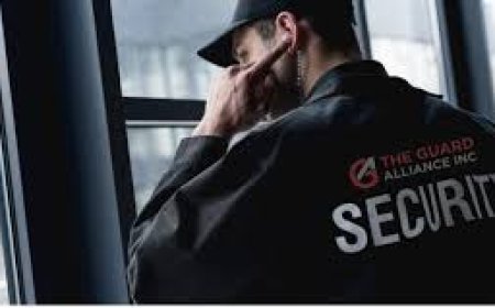Client Testimonials – What Lakeville Says About AllStar Security