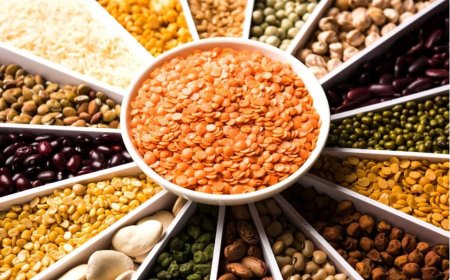 Top Pulses Brands & Suppliers in India – Shop or Bulk Buy Now!
