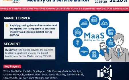 Mobility as a Service (MaaS) Market Research 2025–2030: Growth, Size & Opportunities