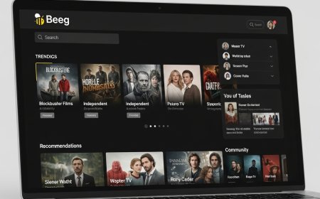 Why Some Creators Oppose Beeg