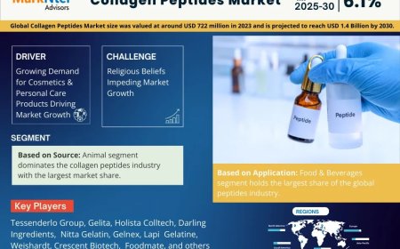 Collagen Peptides Market Research 2025–2030: Growth, Size & Opportunities