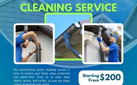 Professional Gutter Cleaning Services in Ascot Vale, VIC