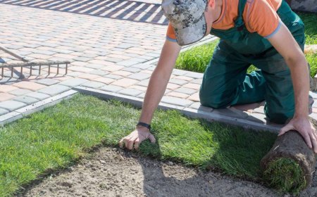 Choosing the Right Masonry and Landscaping Contractor for Your Next Project