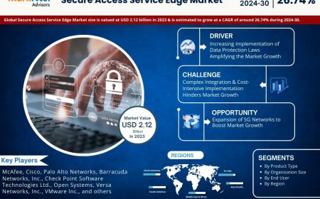 Secure Access Service Edge Market Overview 2024–2030: Share, Size & Future Trends